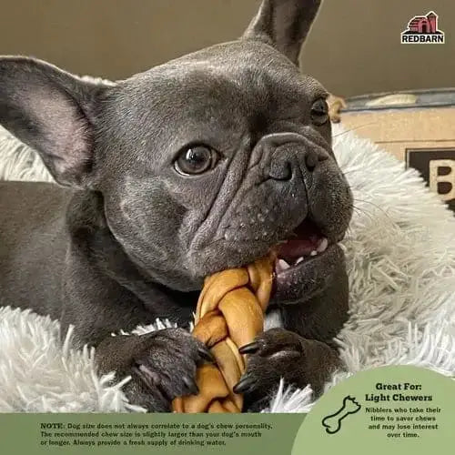 Redbarn Pet Products Puffed Collagen Spring Dog Treats 25ea/6-7 in Redbarn