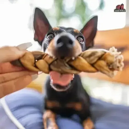 Redbarn Pet Products Puffed Collagen Spring Dog Treats 25ea/6-7 in Redbarn