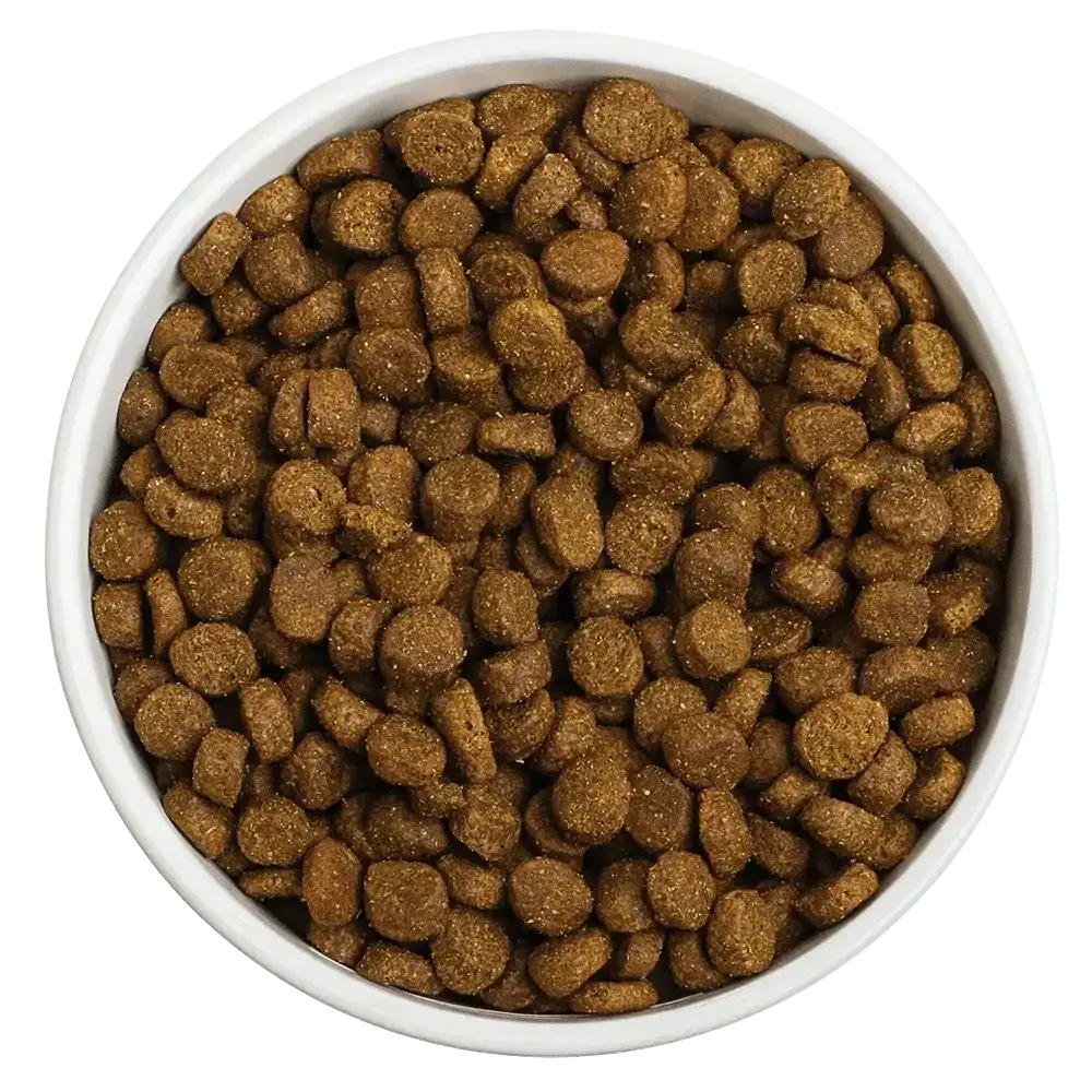 Redbarn Pet Products Whole Grain Land Recipe Dog Food Redbarn