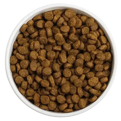 Redbarn Pet Products Whole Grain Ocean Recipe Dog Food Redbarn