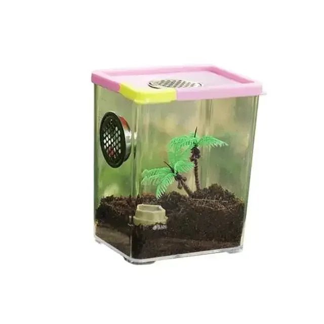 Reptile Breeding Box Clear Acrylic Reptile Feeding Insect Reptile Cage Terrarium - Talis Us