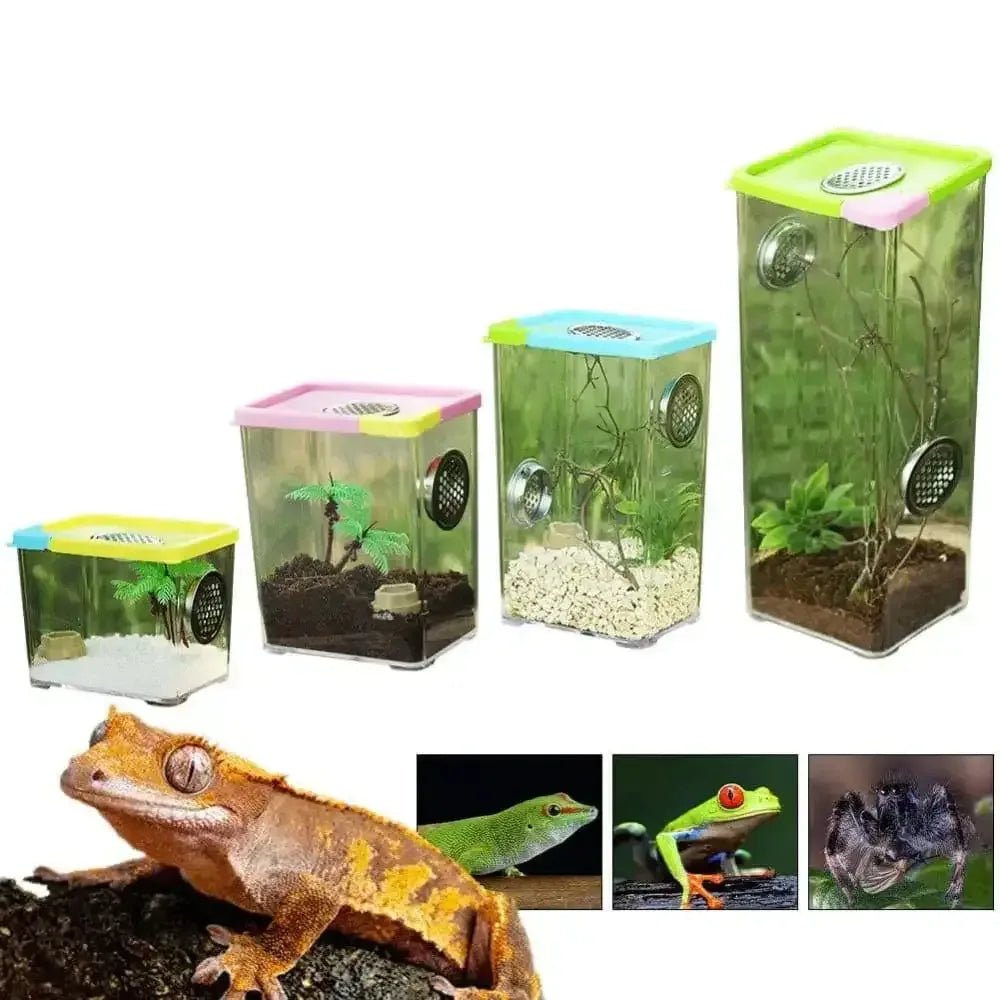 Reptile Breeding Box Clear Acrylic Reptile Feeding Insect Reptile Cage Terrarium - Talis Us