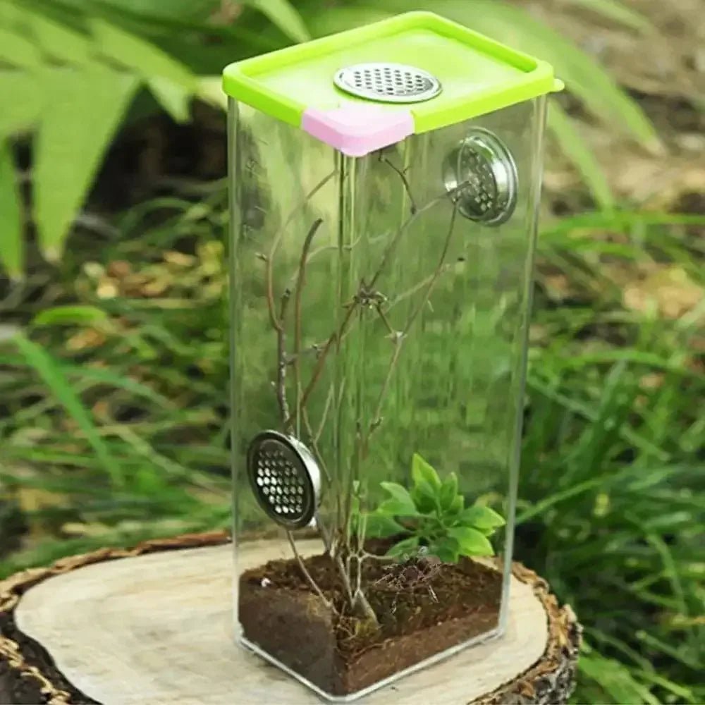 Reptile Breeding Box Clear Acrylic Reptile Feeding Insect Reptile Cage Terrarium - Talis Us