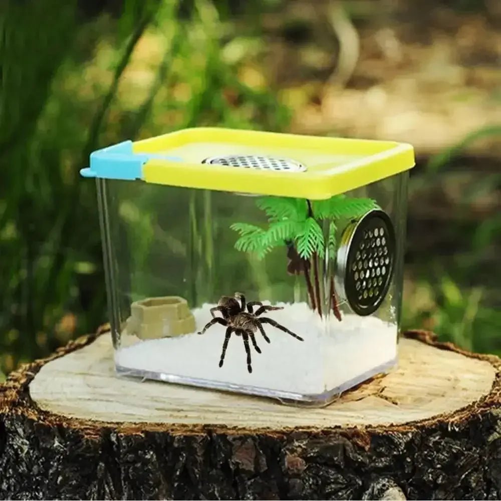 Reptile Breeding Box Clear Acrylic Reptile Feeding Insect Reptile Cage Terrarium - Talis Us