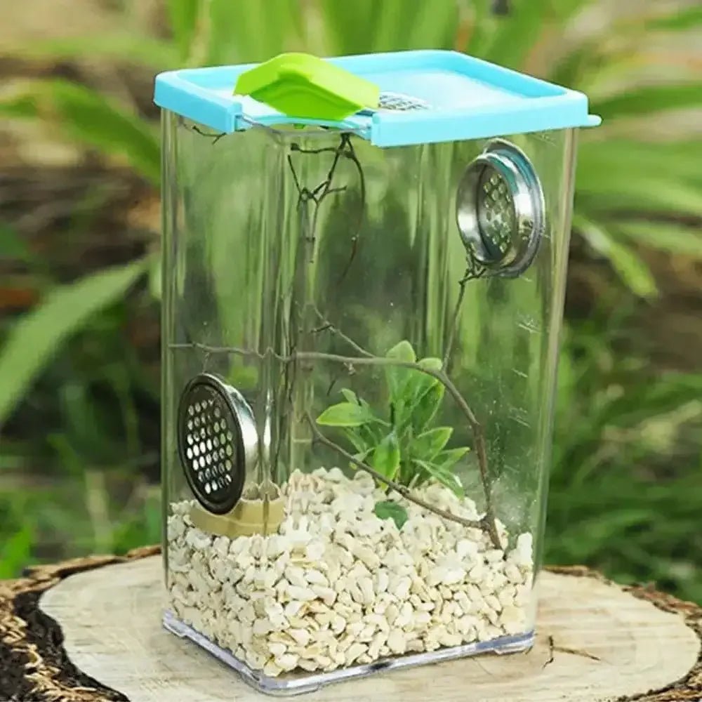 Reptile Breeding Box Clear Acrylic Reptile Feeding Insect Reptile Cage Terrarium - Talis Us