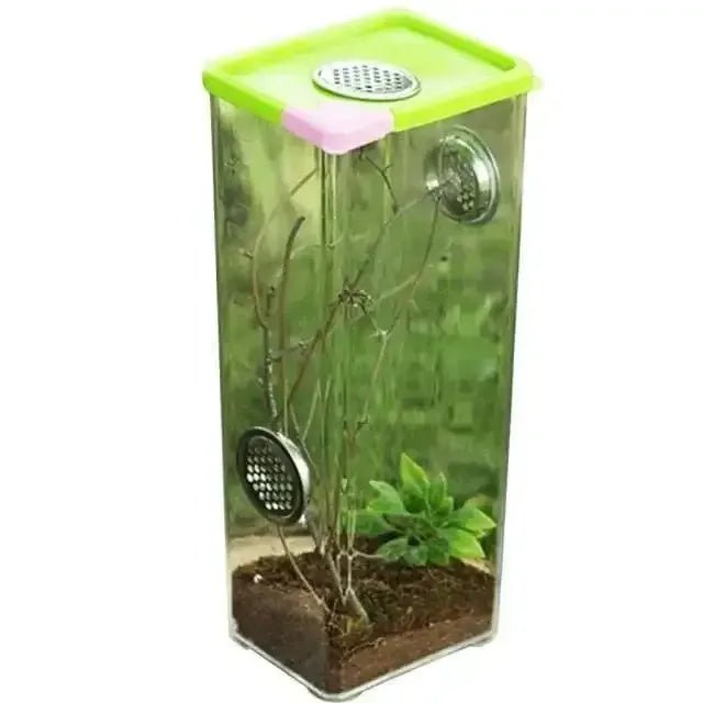 Reptile Breeding Box Clear Acrylic Reptile Feeding Insect Reptile Cage Terrarium - Talis Us