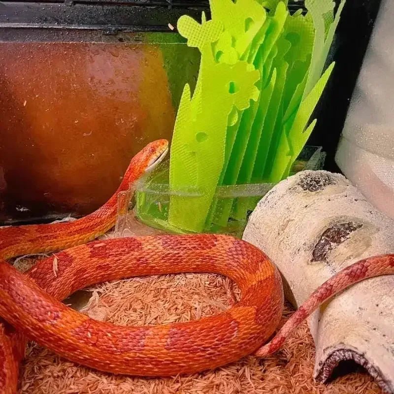 Reptile Habitat Resin Ornament Hideout Cave Bark Bend Leopard Gecko Spider Snake Turtle - Talis Us