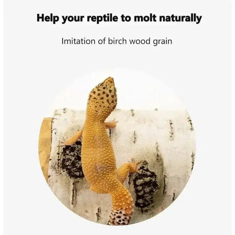 Reptile Habitat Resin Ornament Hideout Cave Bark Bend Leopard Gecko Spider Snake Turtle - Talis Us