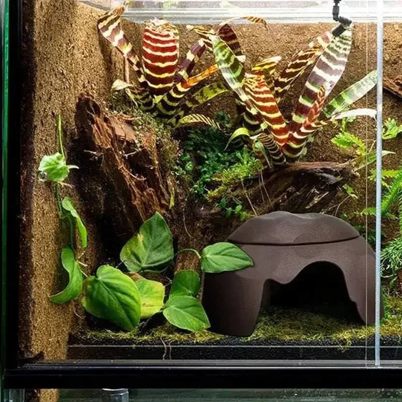 Reptile Hides Humidification Cave Damp Hideout, Suitable For Lizards Leopard Gecko - Talis Us