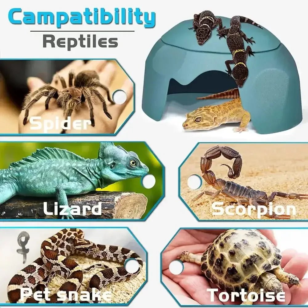 Reptile Hides Humidification Cave Damp Hideout, Suitable For Lizards Leopard Gecko - Talis Us