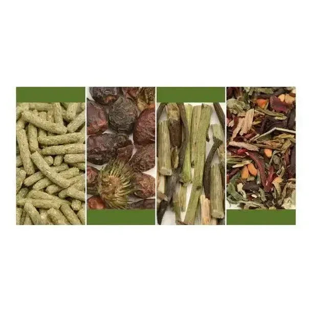 Reptile Systems A La Carte Tortoise Mix 4.4oz - Talis Us