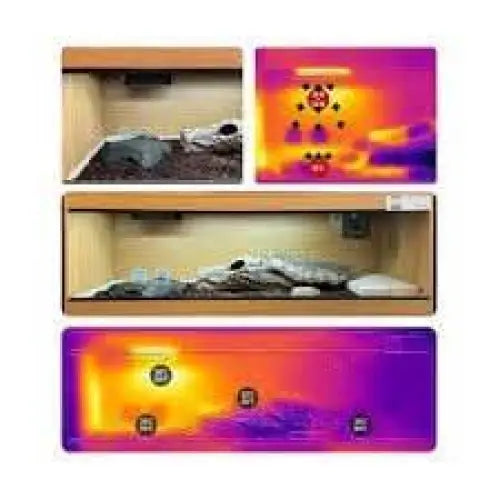 Reptile Systems Eco Gold Infrared Reptile Heat Lamp Unit - Talis Us