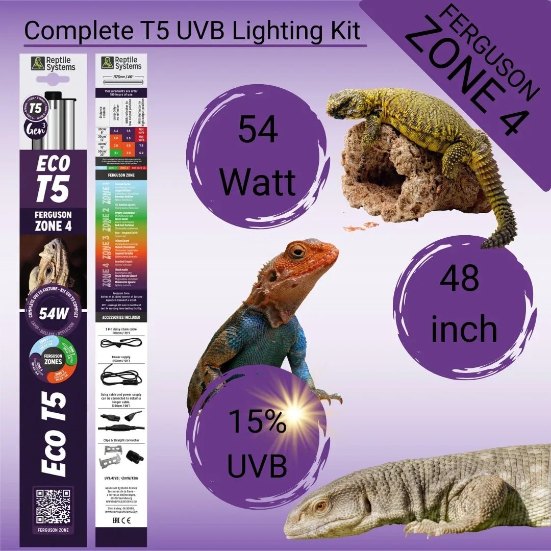 Reptile Systems Eco T5 Zone 4 Lighting Kit | 15% UVB Lamp & Reflector - Talis Us