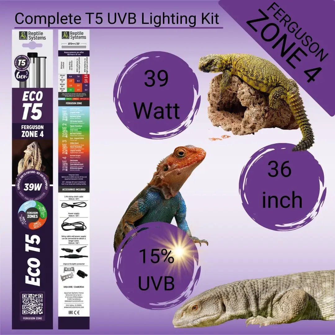 Reptile Systems Eco T5 Zone 4 Lighting Kit | 15% UVB Lamp & Reflector - Talis Us