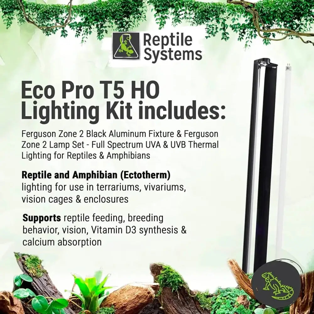 Reptile Systems Full Spectrum UVA & UVB Amphibian & Reptile Lighting Zone 2 Lamp 6% - Talis Us