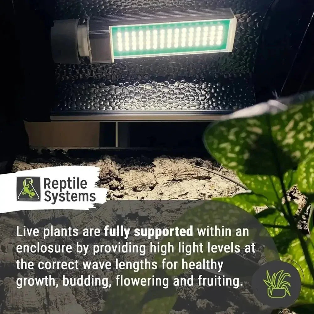 Reptile Systems New Dawn LED 6500K Bulb Lighting for Natural Plant Growth in Terrariums, Vivariums - Talis Us