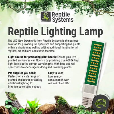 Reptile Systems New Dawn LED 6500K Bulb Lighting for Natural Plant Growth in Terrariums, Vivariums - Talis Us