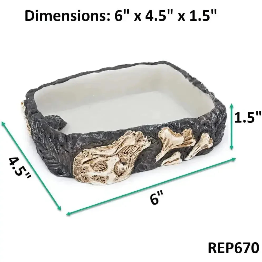 Reptology Reptile Fossil Rock Food/Water Dish - Talis Us