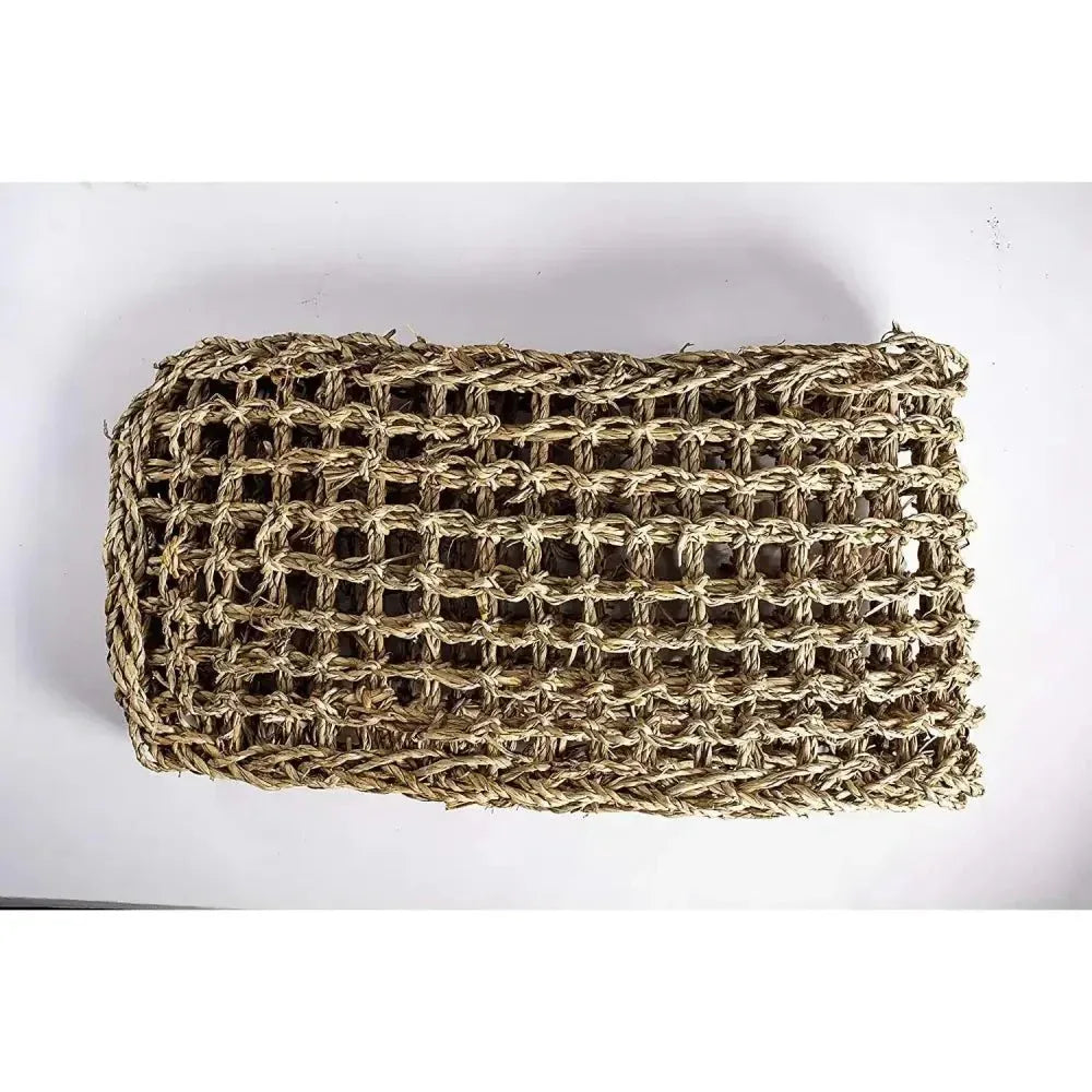 Reptology Skull Hide - Away Habitat Décor - Talis Us