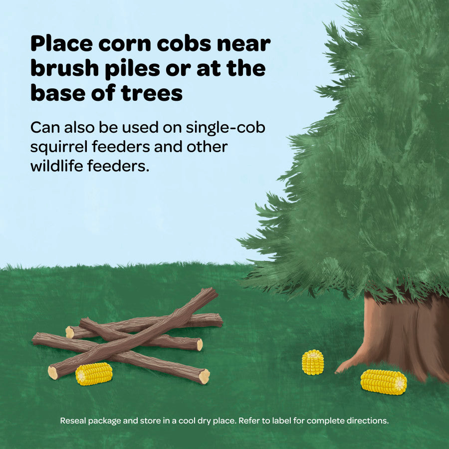 Illustration showing corn cobs placed near a brush pile and at the base of a tree for wildlife.