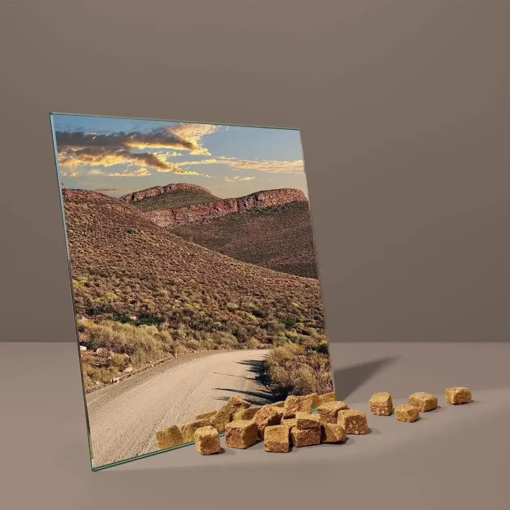 Roam Pet Ossy Slices Ostrich Novel Protein Freeze Dried Dog Treats 2 oz. - Talis Us