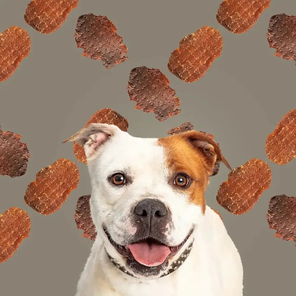 Roam Pet Ostrich Fillet Limited Ingredient Treats for Dogs 1.5oz - Talis Us