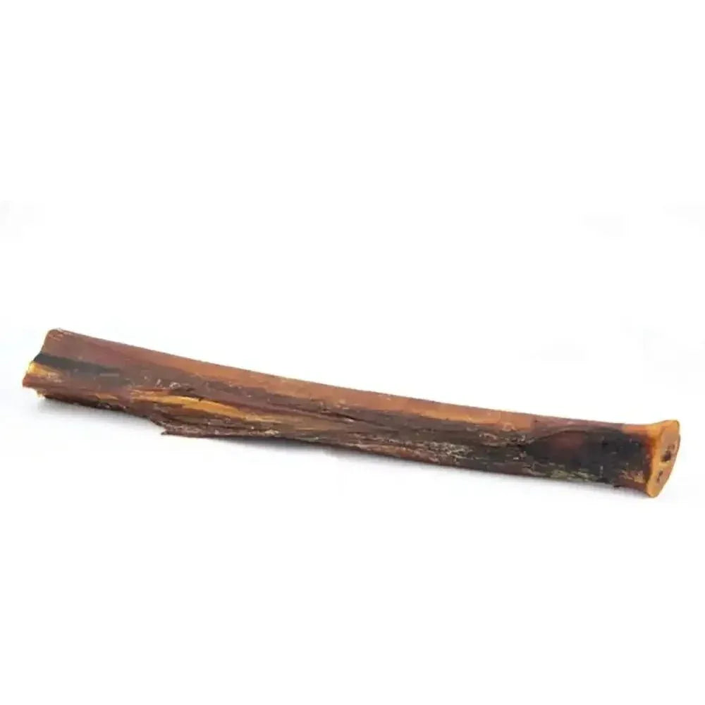 Roam Pet Ostrich Marrow Bone Long Lasting Dog Chew 2pk - Talis Us