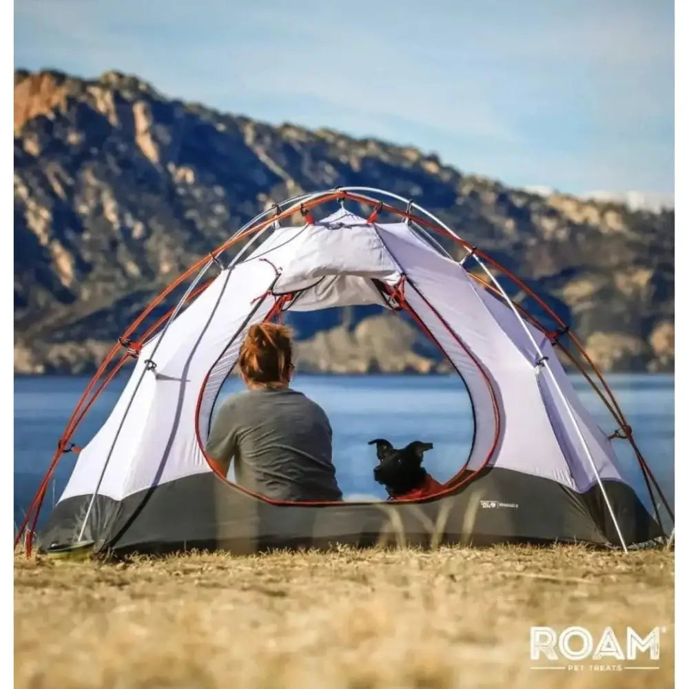 Roam Pet Ostrich Marrow Bone Long Lasting Dog Chew 2pk - Talis Us