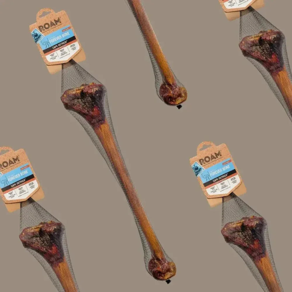 Roam Pet Treats Forever Bone Long Lasting Ostrich Dog Bone - Talis Us