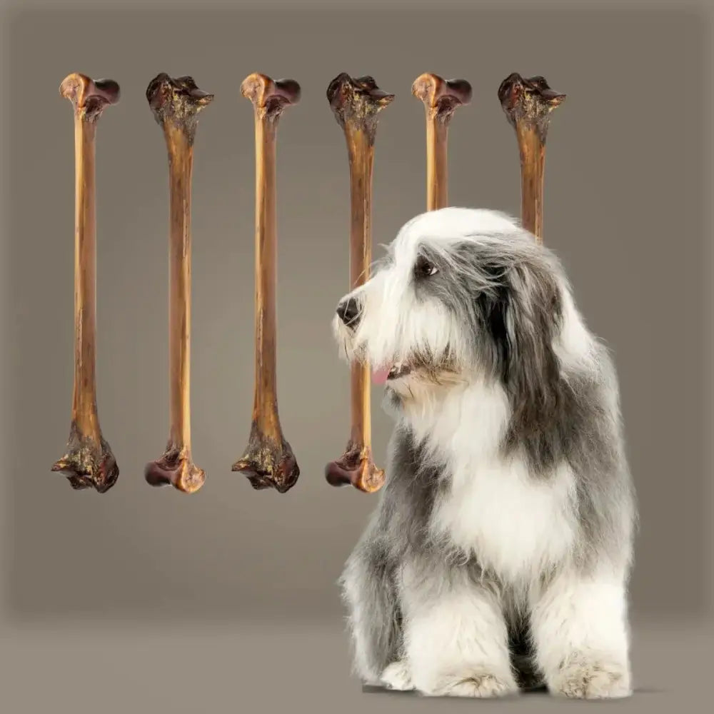 Roam Pet Treats Forever Bone Long Lasting Ostrich Dog Bone - Talis Us