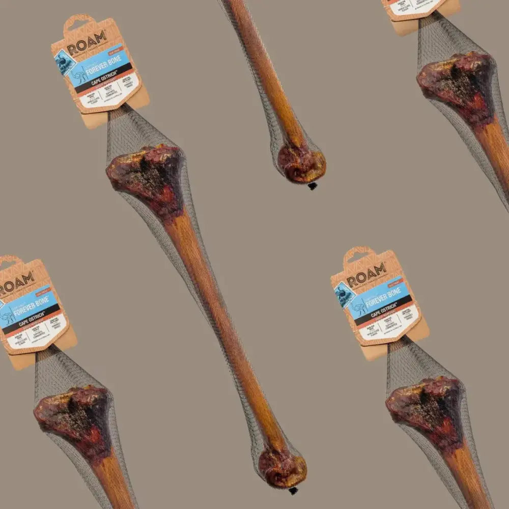 Roam Pet Treats Forever Bone Long Lasting Ostrich Dog Bone - Talis Us