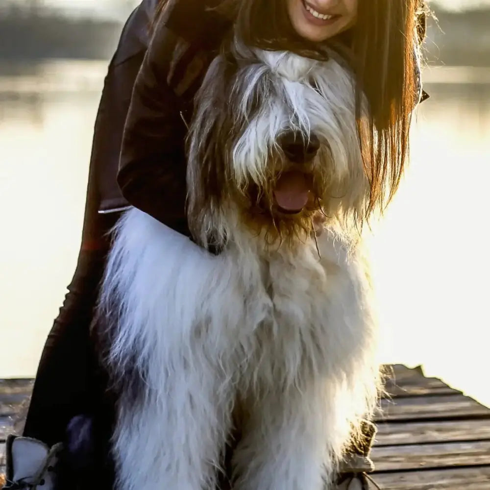 Roam Pet Treats Forever Bone Long Lasting Ostrich Dog Bone - Talis Us