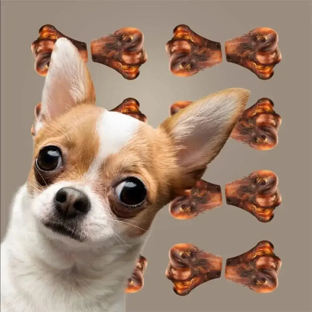 Roam Pet Treats Gnaw - Kle Ostrich Knuckle Dog Chew - Talis Us