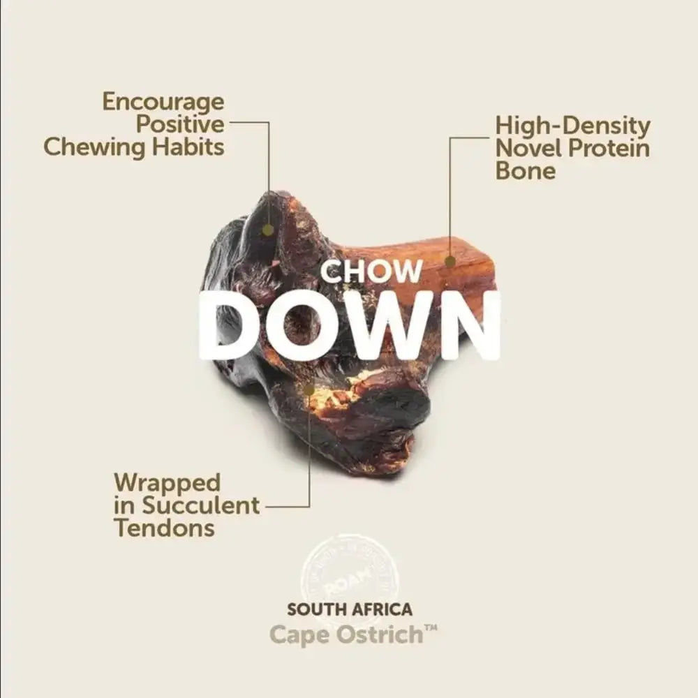 Roam Pet Treats Gnaw - Kle Ostrich Knuckle Dog Chew - Talis Us