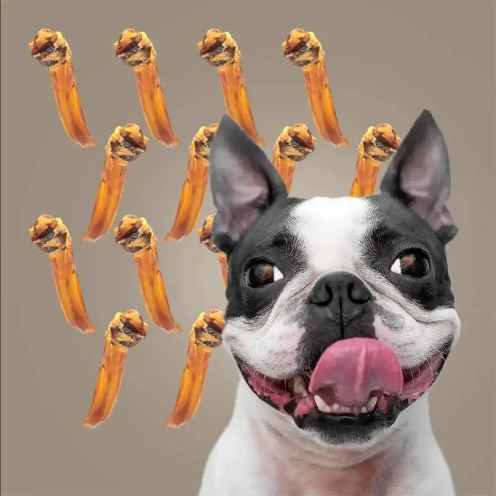 Roam Pet Treats Ossies Ostrich Tendons Chews for Dogs 3oz - Talis Us