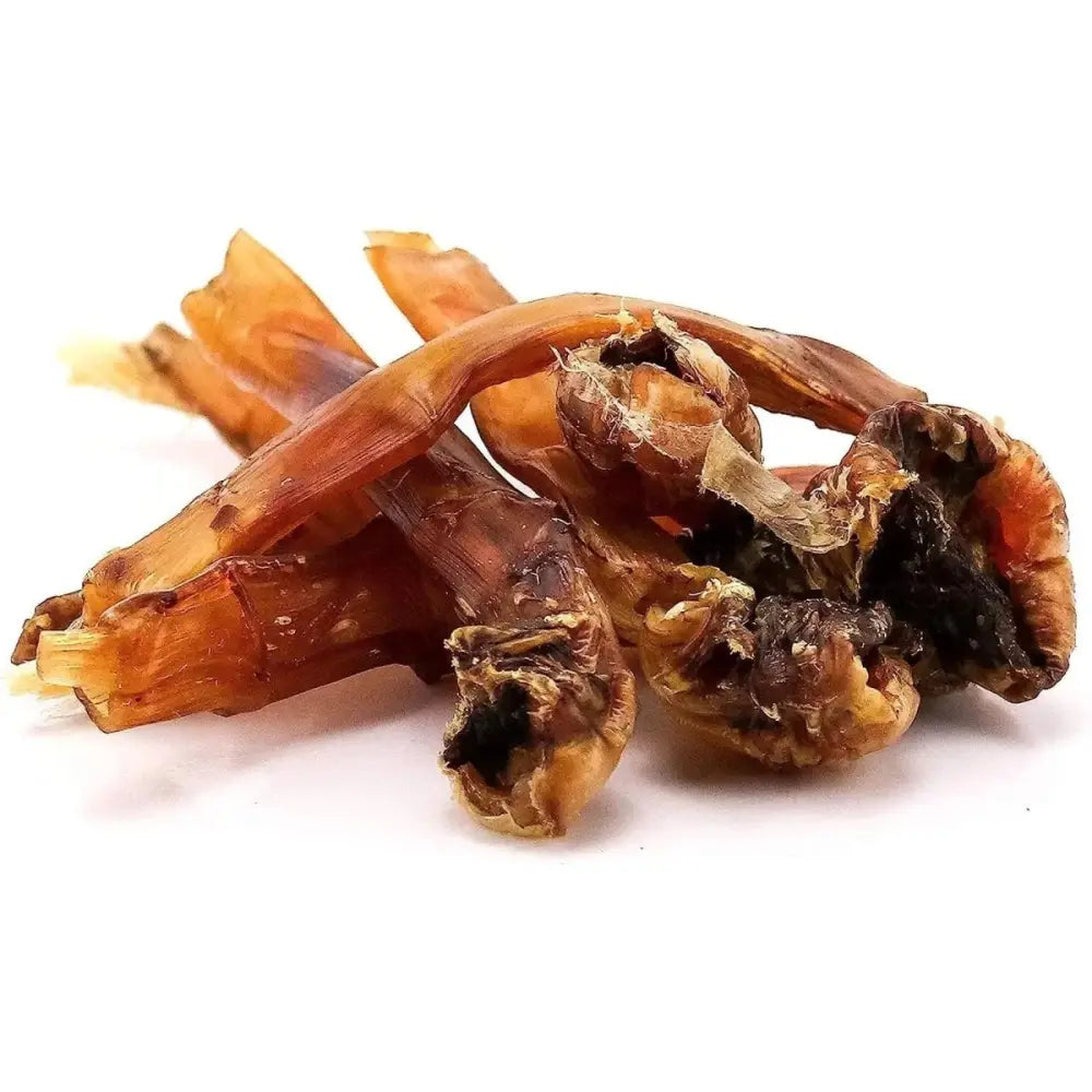 Roam Pet Treats Ossies Ostrich Tendons Chews for Dogs 3oz - Talis Us