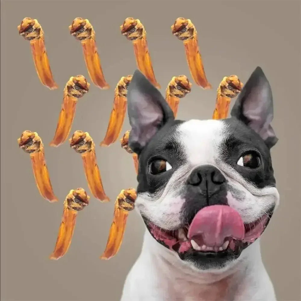 Roam Pet Treats Ossies Ostrich Tendons Chews for Dogs 3oz - Talis Us