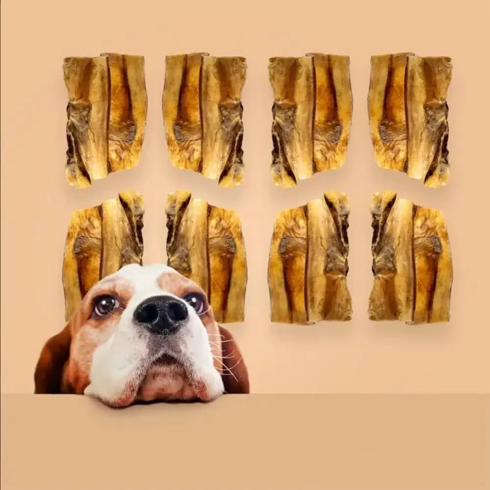 Roam Pet Treats Ossy Baby Back Rib Ostrich Dog Chew - Talis Us