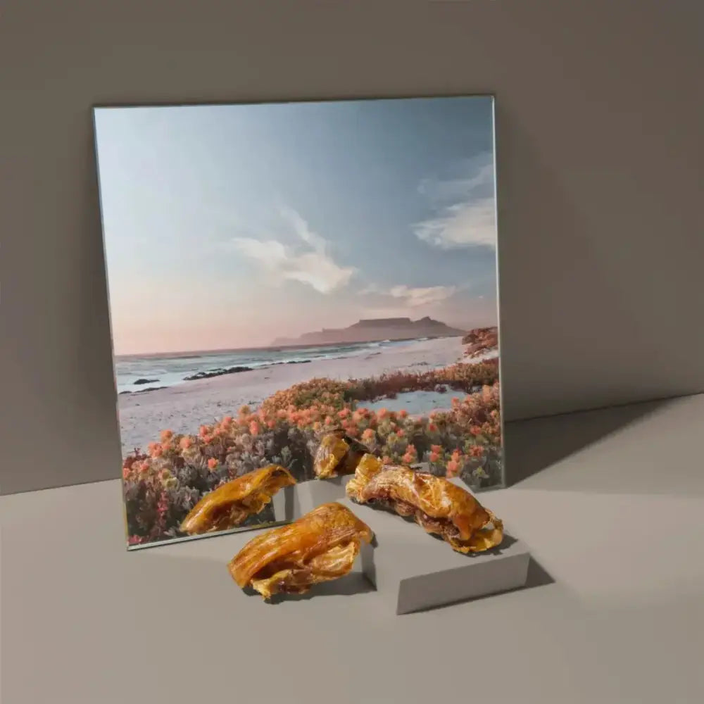 Roam Pet Treats Ossy Chops Ostrich Dog Chew - Talis Us