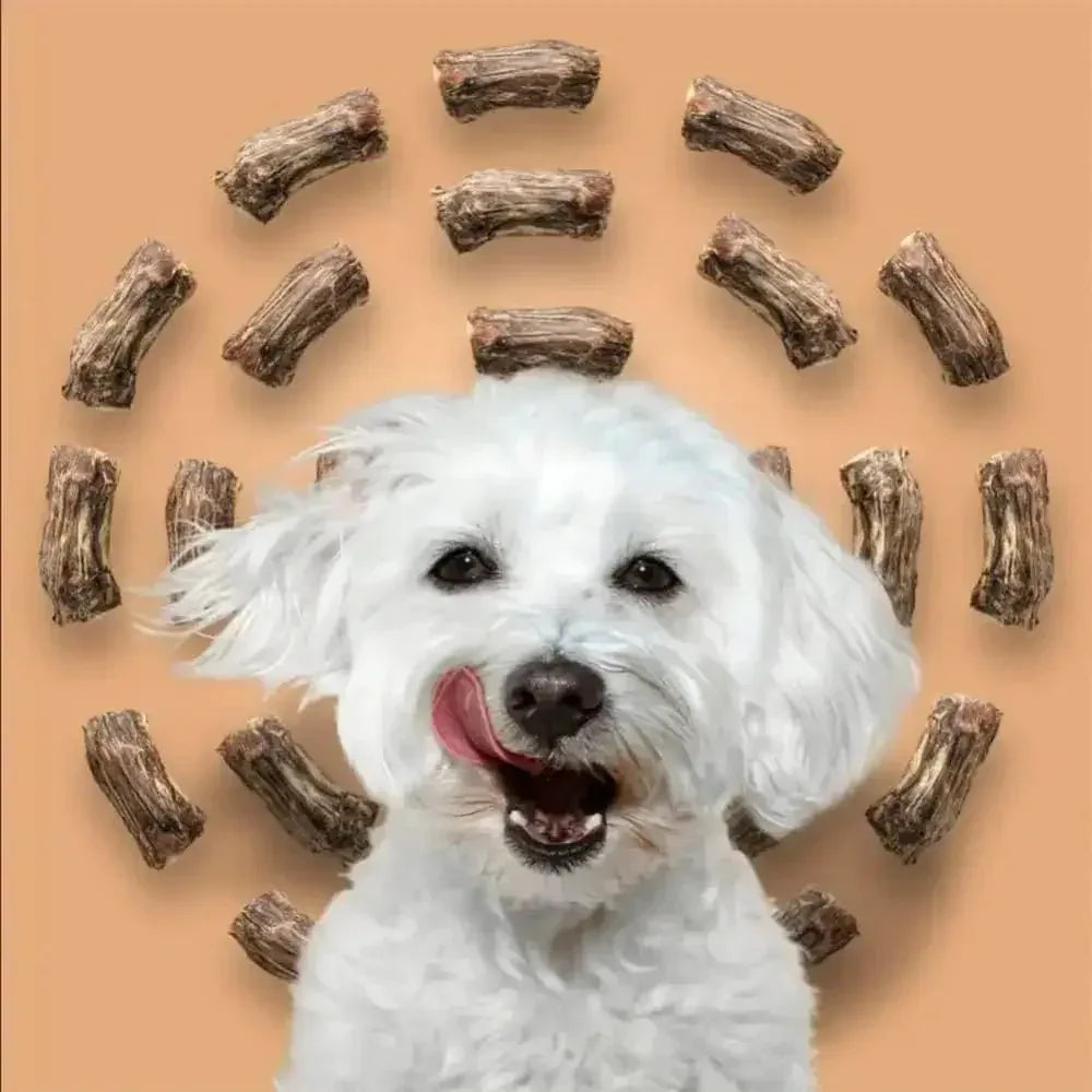 Roam Pet Treats Ossy Cuts Ostrich Neck Dog Chew for Small to Medium Dogs - Talis Us