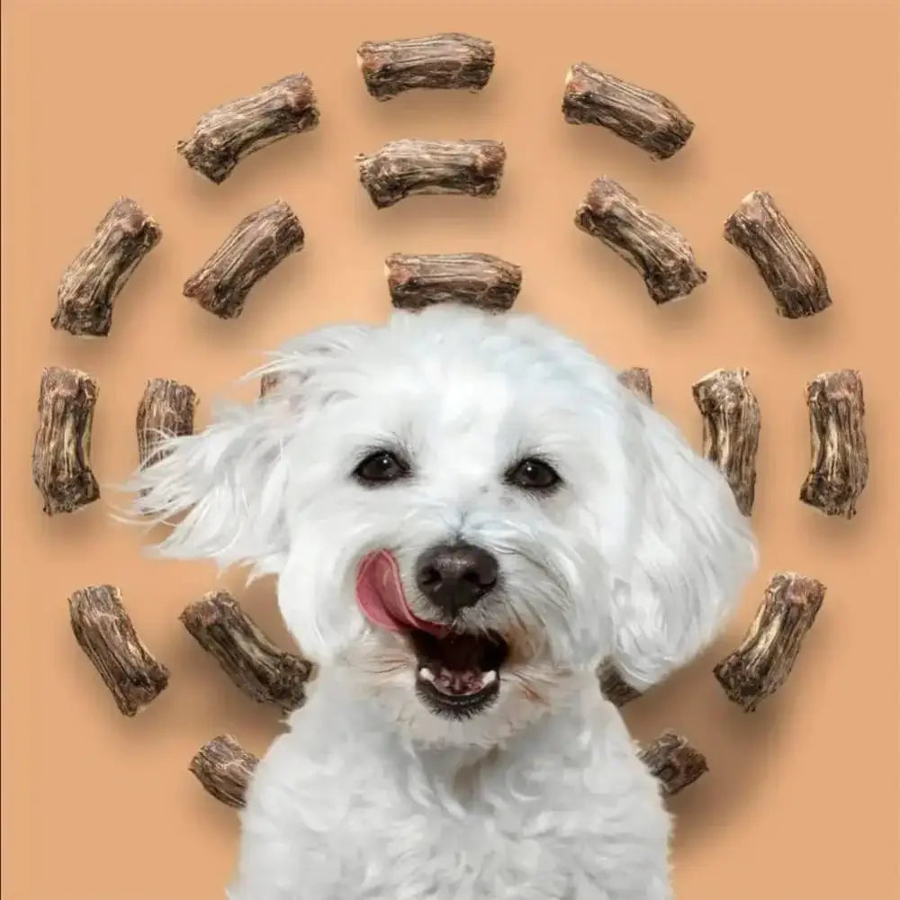 Roam Pet Treats Ossy Cuts Ostrich Neck Dog Chew for Small to Medium Dogs - Talis Us