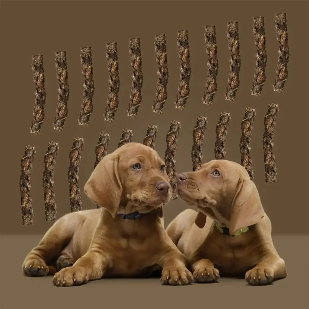 Roam Pet Treats Ossy Hide Twists Ostrich Dog Chew - Talis Us