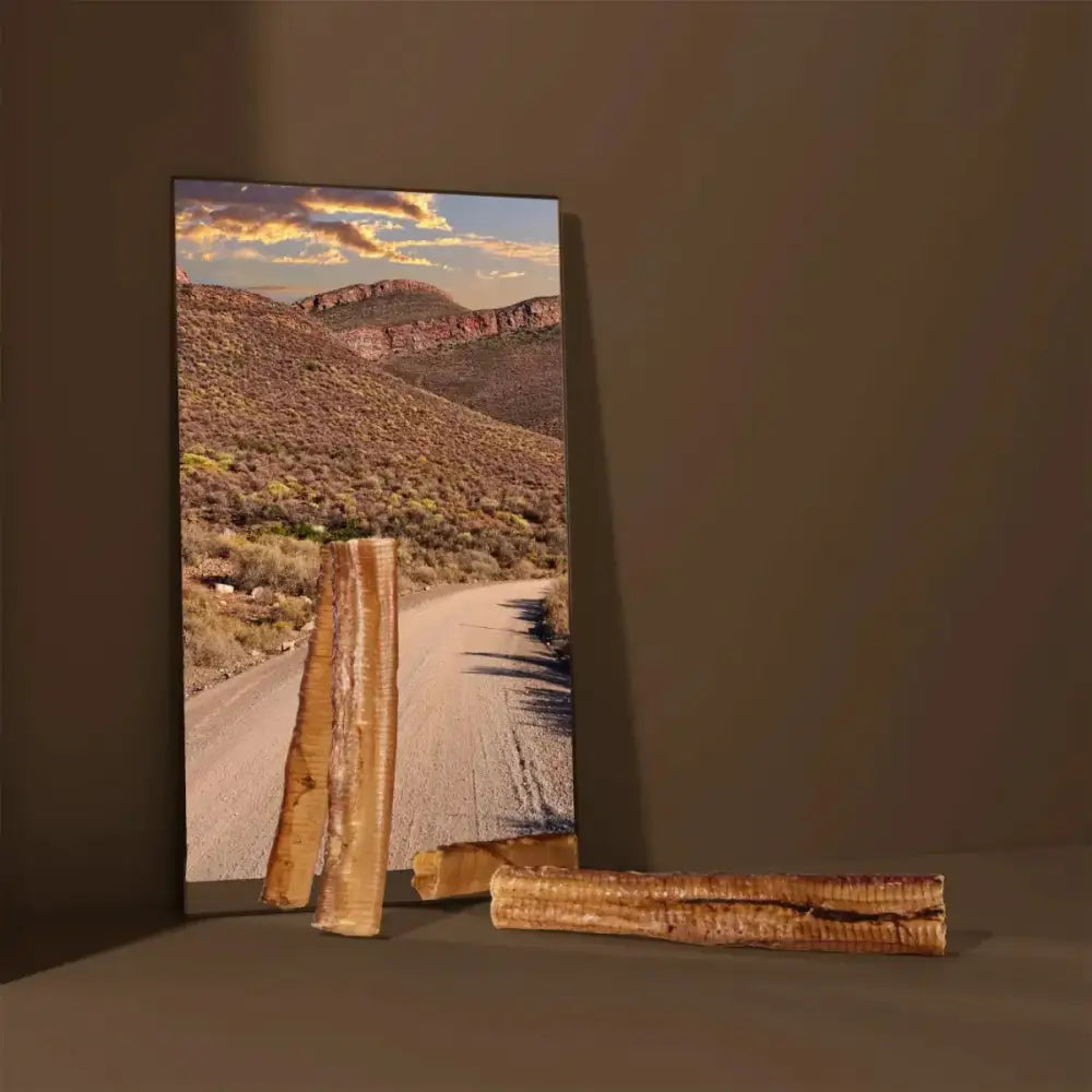 Roam Pet Treats Ossy Trachs Ostrich Trachea Dog Chew - Talis Us