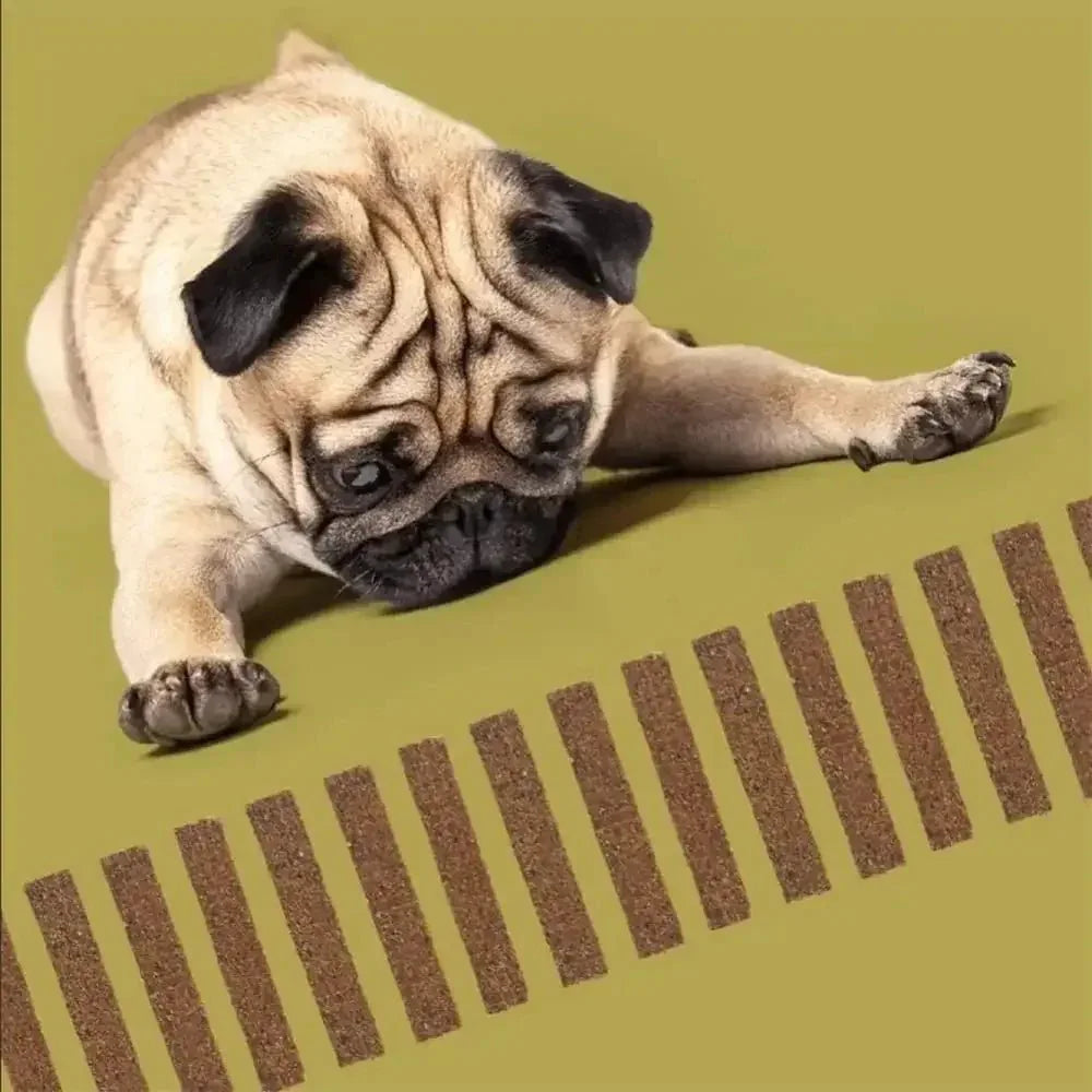 Roam Pets Wild Boar Jerky for Dogs - Talis Us