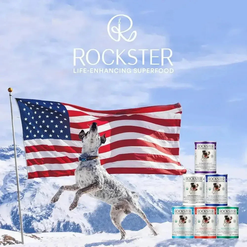 Rockster Boef Du Cap Beef Organic Wet Dog Food 12 / 12 oz - Talis Us