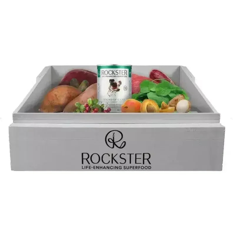 Rockster Fisherman's Dream Organic Salmon Wet Dog Food 12 / 12 oz - Talis Us