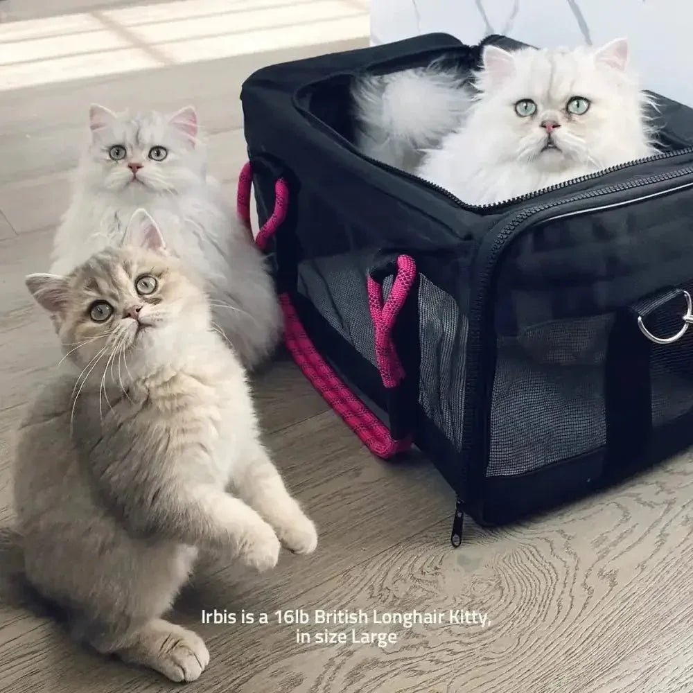 ROVERLUND Airline Compliant Pet Carrier, Travel Bag & Car Seat - Talis Us