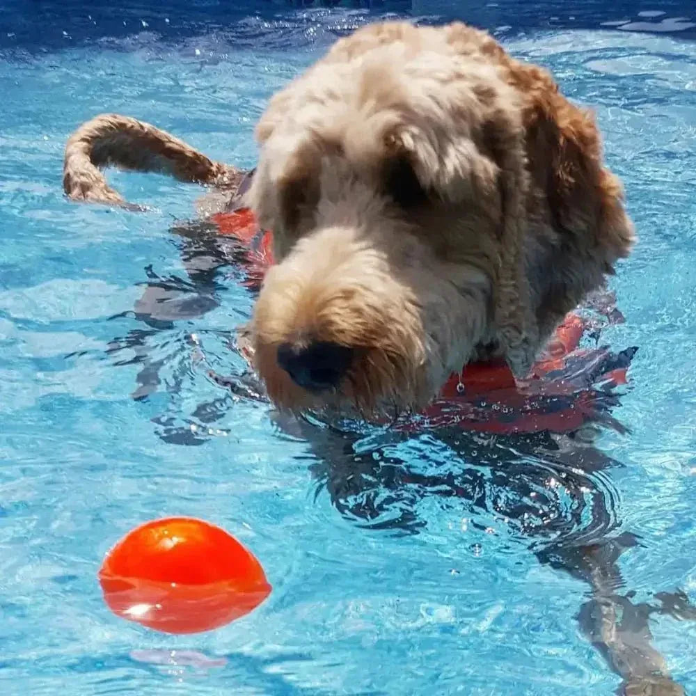 Ruff Dawg, Ball Tough Dog Chew Toy - Talis Us