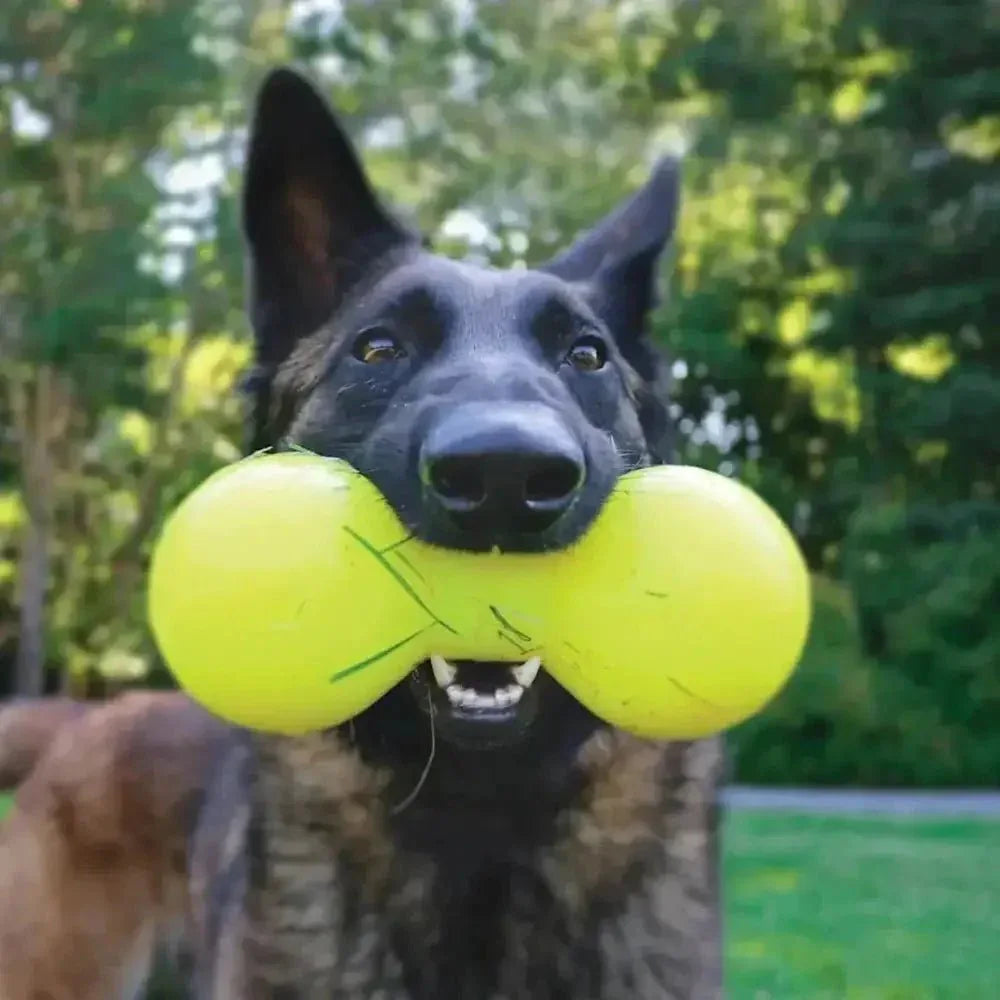 Ruff Dawg, Big Dawg Barbell Tough Dog Chew Toy - Talis Us