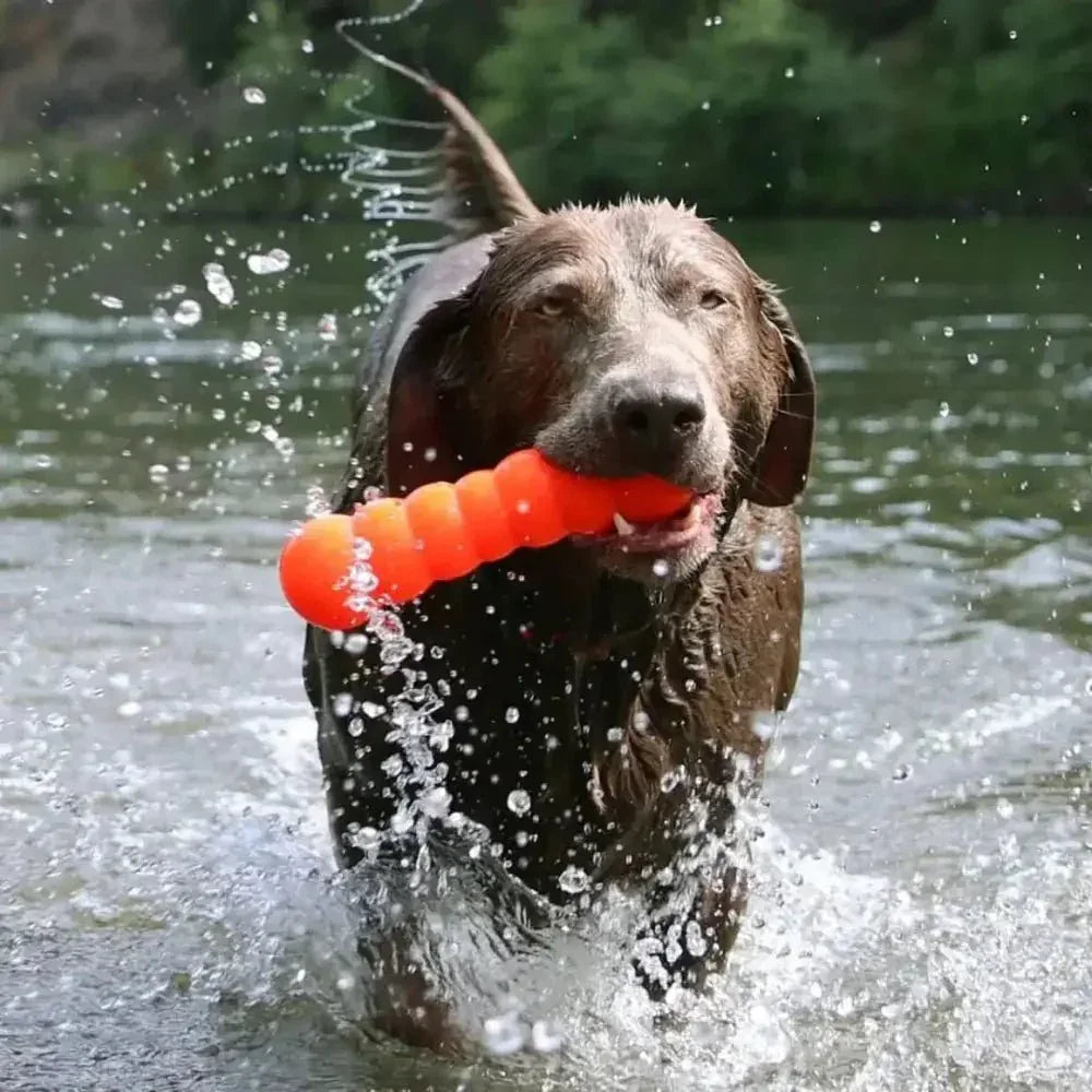 Ruff Dawg Dawg - Buster Tough Dog Toy - Talis Us